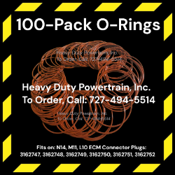 100-Pack O-Rings Mechanic/Shop Special Fits: N14, M11 and L10 ECM Connector Plug To Order, Call: 727-494-5514  N14 ecm connector O-Rings, n14 O-Rings, n14 orings, m11 orings, m11 O-Rings, L10 O-Rings, L10 orings, 3162747, 3162748, 3162749, 3162750, 3162751, 3162752, N14 A plug, N14 B plug, N14 C Plug, M11 A Plug, M11 B plug, M11 C Plug, L10 A Plug, L10 B Plug, L10 C Plug, 66773-3 
