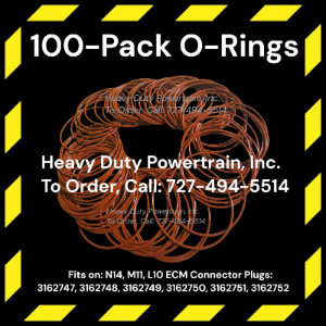 100-Pack O-Rings Mechanic/Shop Special Fits: N14, M11 and L10 ECM Connector Plug To Order, Call: 727-494-5514  N14 ecm connector O-Rings, n14 O-Rings, n14 orings, m11 orings, m11 O-Rings, L10 O-Rings, L10 orings, 3162747, 3162748, 3162749, 3162750, 3162751, 3162752, N14 A plug, N14 B plug, N14 C Plug, M11 A Plug, M11 B plug, M11 C Plug, L10 A Plug, L10 B Plug, L10 C Plug, 66773-3 