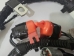 3073927 New M11 Celect Cummins® Injector Harness for M11 Celect Engine (To Order, Call: 727-494-5514)  - 3073927